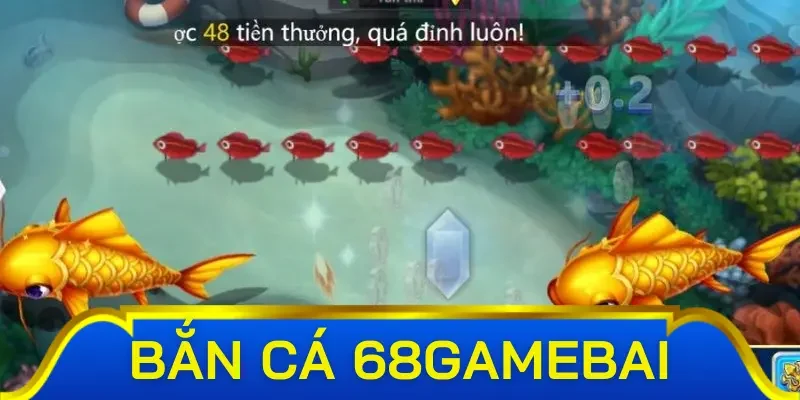 Những phòng chơi chia cấp độ rõ ràng