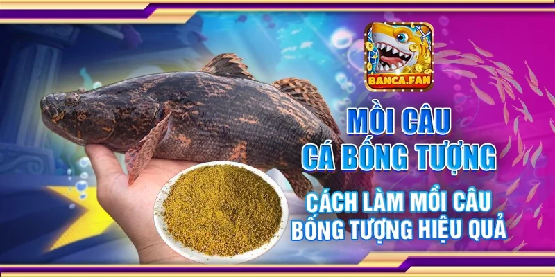 Mồi Câu Cá Bống Tượng – Cách Làm Mồi Câu Bống Tượng Hiệu Quả