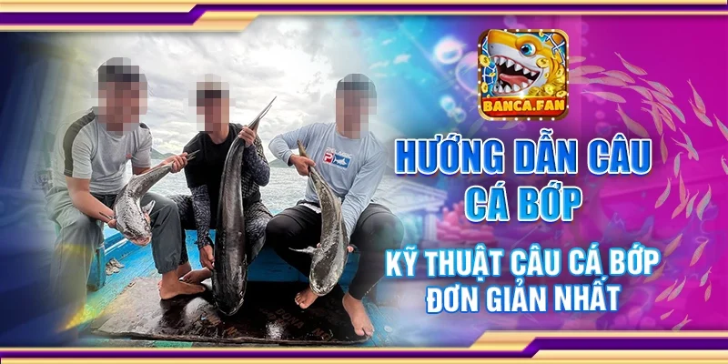 Hướng Dẫn Câu Cá Bớp – Kỹ Thuật Câu Cá Bớp Đơn Giản Nhất