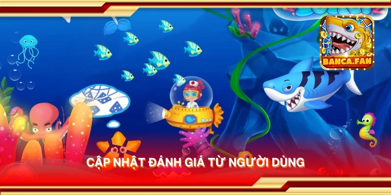 Cập nhật đánh giá từ người dùng
