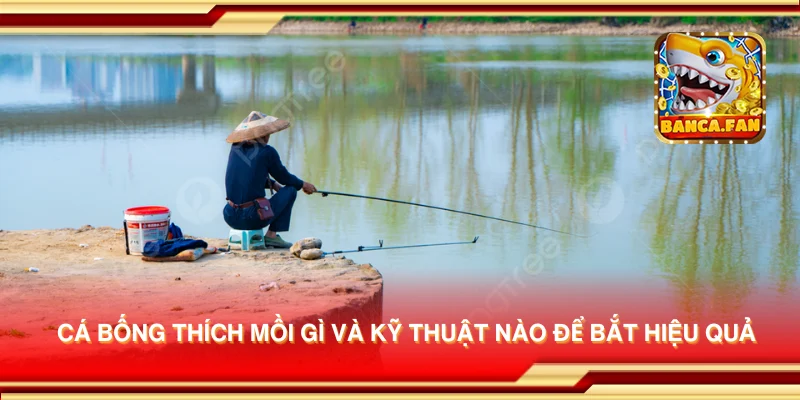 Cá bống thích mồi gì và kỹ thuật nào để bắt hiệu quả