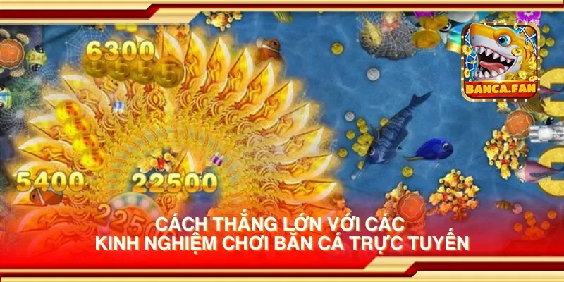 Cách thắng lớn với các kinh nghiệm chơi bắn cá trực tuyến