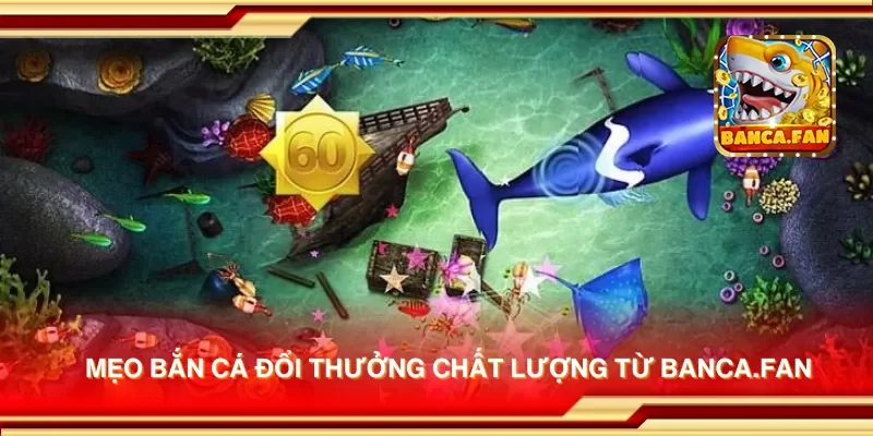 Mẹo bắn cá đổi thưởng chất lượng từ acia.org.mx