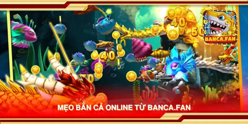 Mẹo bắn cá online từ acia.org.mx