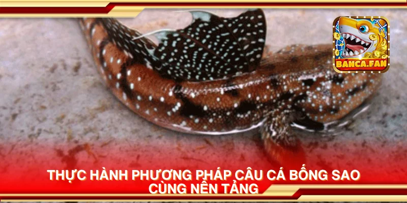 Thực hành phương pháp câu cá bống sao cùng nền tảng