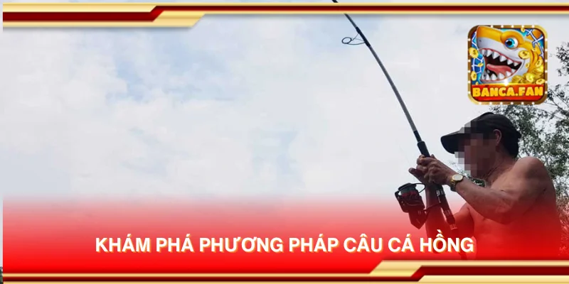 Khám phá phương pháp câu cá hồng