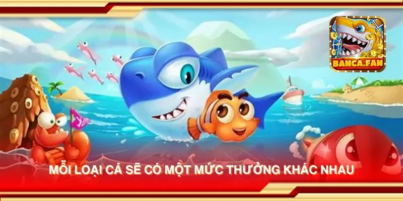 Mỗi loại cá sẽ có một mức thưởng khác nhau
